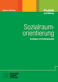 Sozialraumorientierung - Werner Schönig - E-Book