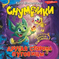 Снумрики. Другая сторона пуговицы - Катя Матюшкина - Hörbuch