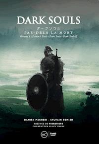 Dark Souls: Par-delà la mort - Volume 1 - Damien Mecheri - E-Book