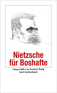 Nietzsche für Boshafte - Friedrich Nietzsche - E-Book