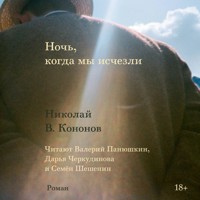 Ночь, когда мы исчезли - Николай В. Кононов - Hörbuch