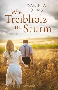 Wie Treibholz im Sturm - Daniela Ohms - E-Book