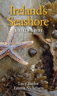 Ireland's Seashore - Lucy Taylor - E-Book