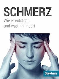 Schmerz -  - E-Book