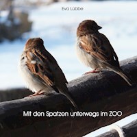 Mit den Spatzen unterwegs im Zoo - Lübbe Eva - E-Book