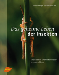 Das geheime Leben der Insekten - Monique Berger - E-Book