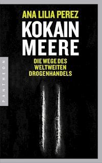 Kokainmeere - Ana Lilia Pérez - E-Book