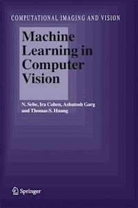 Machine Learning in Computer Vision - Nicu Sebe - E-Book