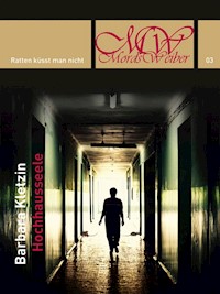 Hochhausseele - Barbara Kletzin - E-Book