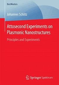 Attosecond Experiments on Plasmonic Nanostructures - Johannes Schötz - E-Book