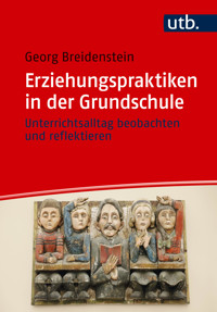 Erziehungspraktiken in der Grundschule - Georg Breidenstein - E-Book