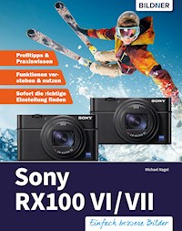 Sony RX100 - Michael Nagel - E-Book