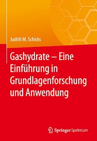 Gashydrate – Eine Einführung in Grundlagenforschung und Anwendung - Judith M. Schicks - E-Book