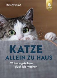 Katze allein zu Haus - Heike Grotegut - E-Book