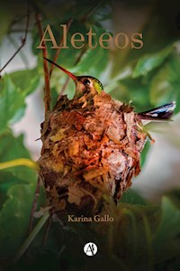 Aleteos - Karina Gallo - E-Book