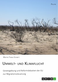 Umwelt- und Klimaflucht. Gesetzgebung und Reformdebatten der EU zur Migrationssteuerung - Martin Tobias Schmitt - E-Book