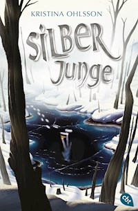 Silberjunge - Kristina Ohlsson - E-Book