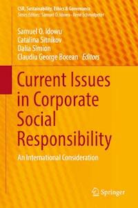 Current Issues in Corporate Social Responsibility -  - E-Book