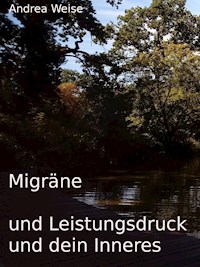 Migräne und Leistungsdruck und dein Inneres - Andrea Weise - E-Book