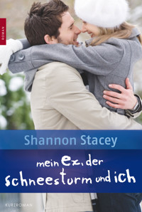 Mein Ex, der Schneesturm und ich - Shannon Stacey - E-Book