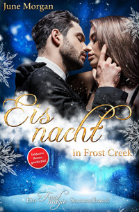 Eisnacht in Frost Creek - June Morgan - E-Book