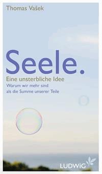 Seele. Eine unsterbliche Idee - Thomas Vašek - E-Book