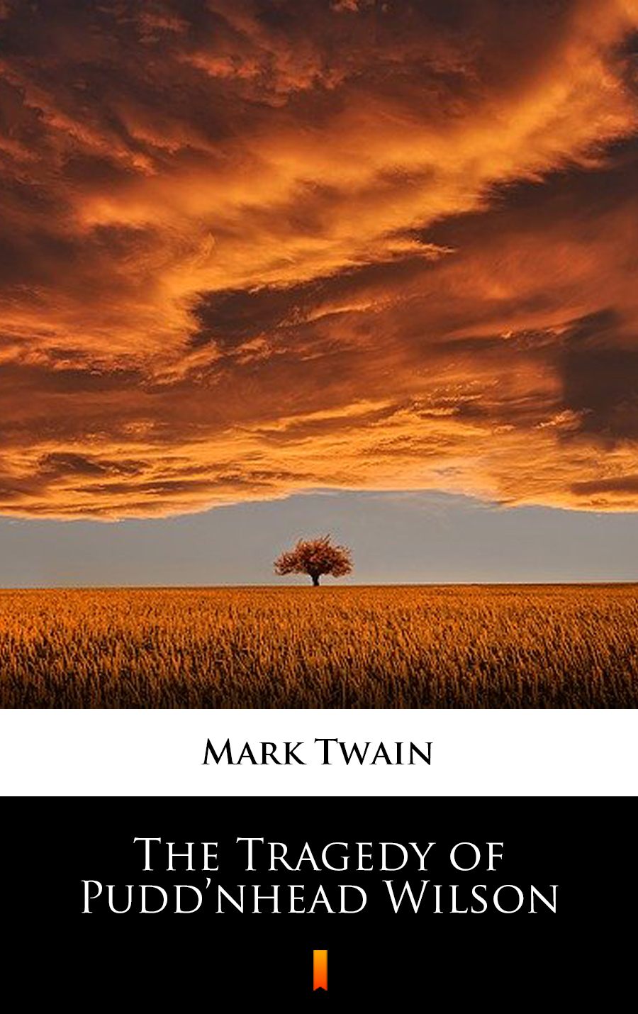 The Tragedy of Pudd’nhead Wilson - Mark Twain - E-Book