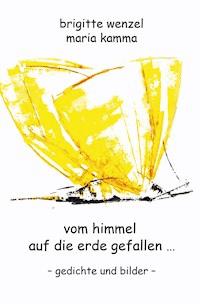 vom himmel auf die erde gefallen - Brigitte Wenzel - E-Book