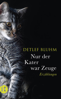 Nur der Kater war Zeuge - Detlef Bluhm - E-Book