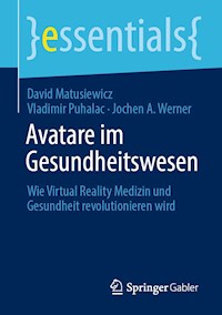 Avatare im Gesundheitswesen - David Matusiewicz - E-Book