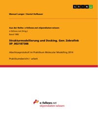 Strukturmodellierung und Docking. Gen: Zebrafink XP_002187388 - Manuel Langer - E-Book