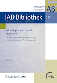 Intra-regional economic integration - Nicole Litzel - kostenlos E-Book