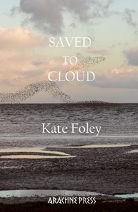Saved to Cloud - Kate Foley - E-Book