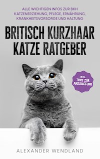 Britisch Kurzhaar Katze Ratgeber - Alexander Wendland - E-Book