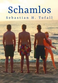 Schamlos - Sebastian H. Tofall - E-Book