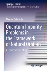 Quantum Impurity Problems in the Framework of Natural Orbitals - Maxime Debertolis - E-Book