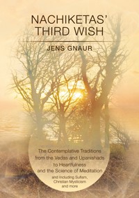 Nachiketas’ Third Wish - Jens Gnaur - E-Book
