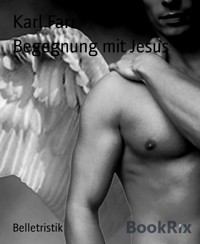 Begegnung mit Jesus - Karl Farr - E-Book