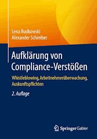 Aufklärung von Compliance-Verstößen - Lena Rudkowski - E-Book