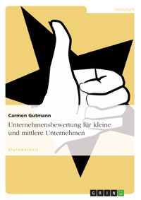 Unternehmensbewertung für kleine und mittlere Unternehmen - Carmen Gutmann - E-Book