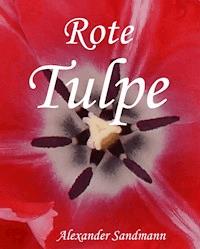 Rote Tulpe - Alexander Sandmann - E-Book