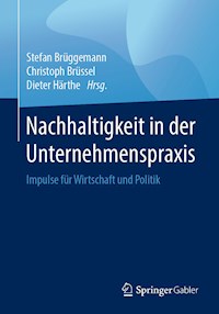 Nachhaltigkeit in der Unternehmenspraxis -  - E-Book
