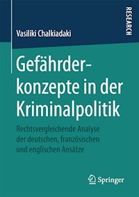 Gefährderkonzepte in der Kriminalpolitik - Vasiliki Chalkiadaki - E-Book