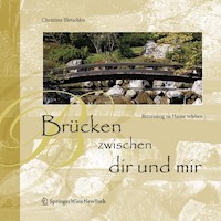 Brücken zwischen dir und mir - Christine Illetschko - E-Book