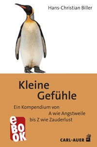 Kleine Gefühle - Hans-Christian Biller - E-Book
