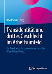Transidentität und drittes Geschlecht im Arbeitsumfeld -  - E-Book