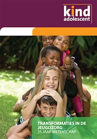 Transformaties in de jeugdzorg -  - E-Book