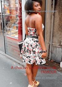 A chacun sa définition de l'amour - Audrey Ninon Megoumdjo Koagne - E-Book