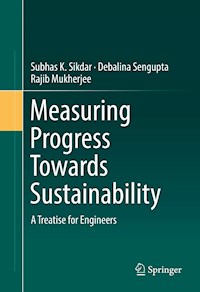 Measuring Progress Towards Sustainability - Subhas K. Sikdar - E-Book