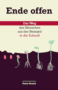 Ende offen - Peter Strauß - E-Book